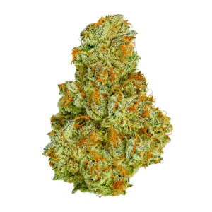 sour-diesel-strain-cannabis-flower-nug_1100x