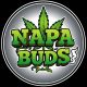 napabuds.com